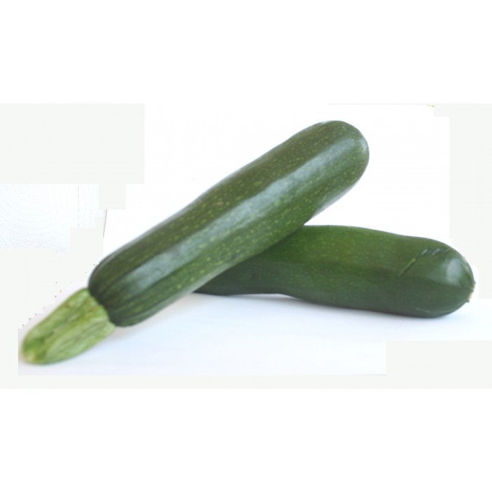 Zucchini